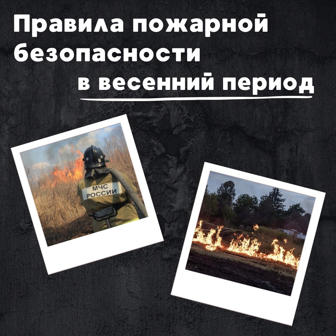 1_4.jpg
