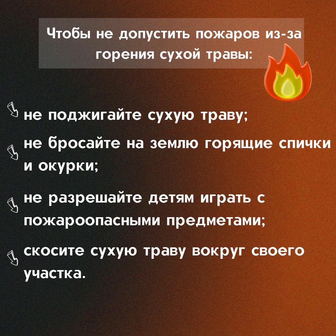 2_8.jpg