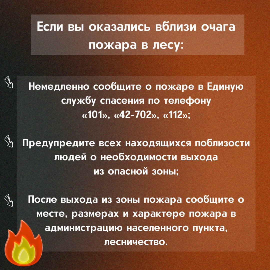3_11.jpg