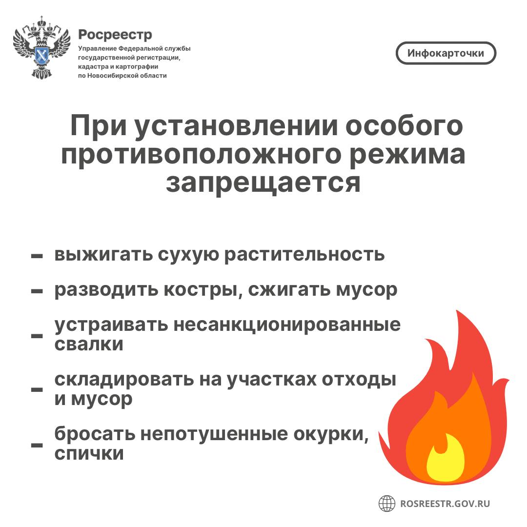 4_1.jpeg