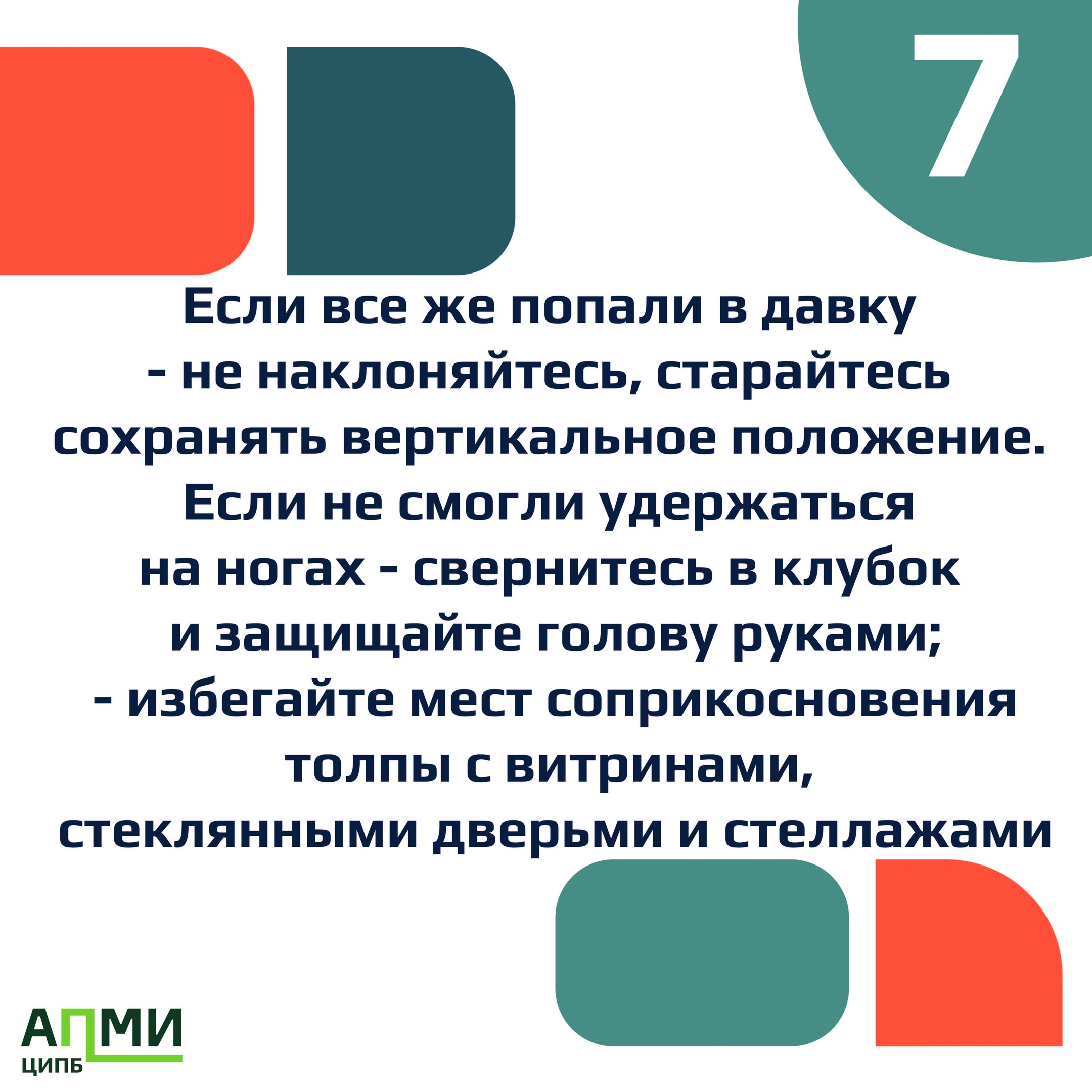 8_1_0.jpg