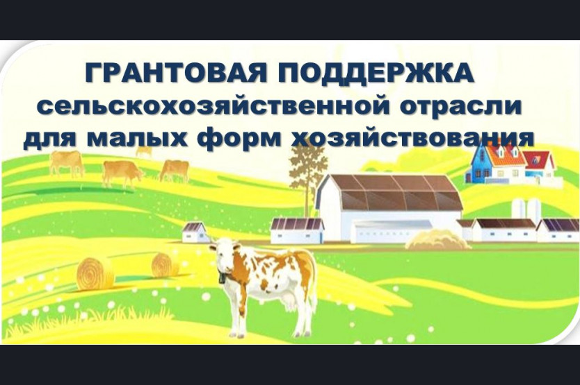 Близко к природе - Фотография 15 из 18 ВКонтакте