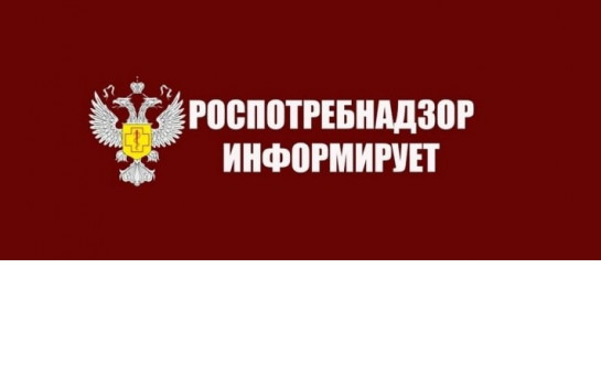 Информация об организации профессиональной ориентации учащихся