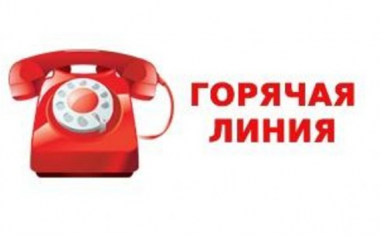 О проведении «горячей телефонной линии»