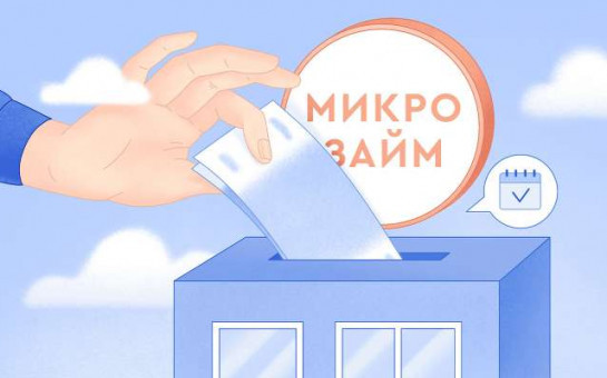 Новые правила предоставления микрозаймов субъектов малого и среднего предпринимательства и самозанятых Новосибирской области 